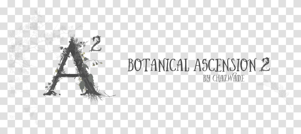 White Pine, Floral Design Transparent Png