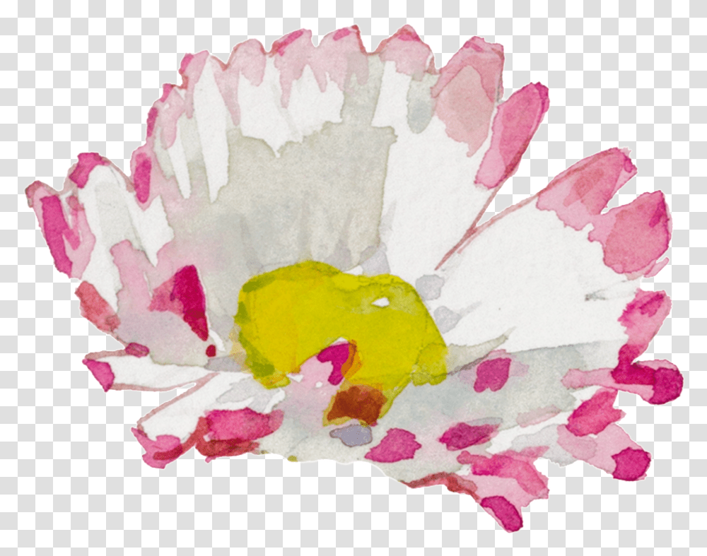 White Pink Hand Painted Chrysanthemum Watercolor Child Art, Plant, Flower, Blossom, Paper Transparent Png