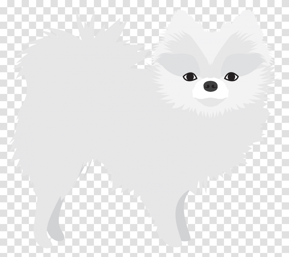 White Pomeranian - Dogs In The News Japanese Spitz, Animal, Pet, Mammal, Angora Transparent Png