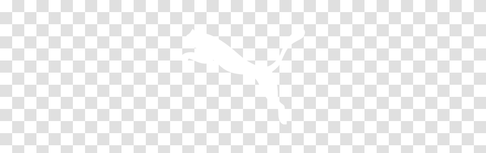 White Puma Icon, Texture, White Board, Apparel Transparent Png