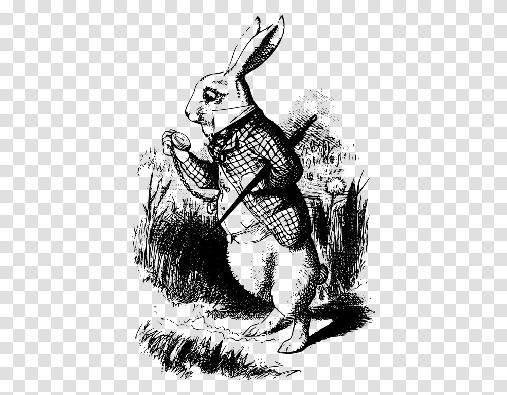 White Rabbit Alice In Wonderland Book, Gray, World Of Warcraft Transparent Png