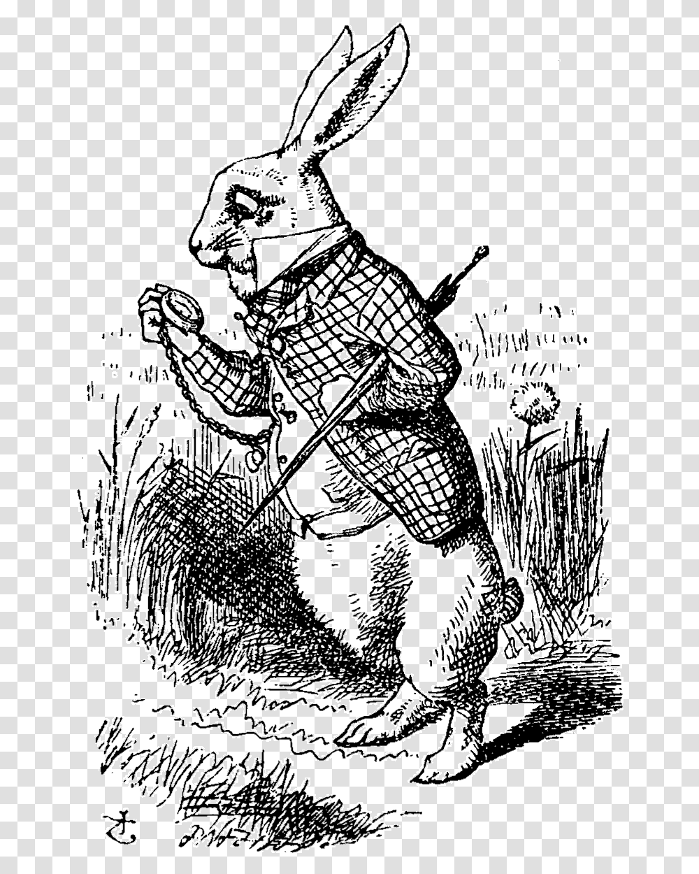 White Rabbit Alice In Wonderland Illustration, Person, Human, Poster, Advertisement Transparent Png
