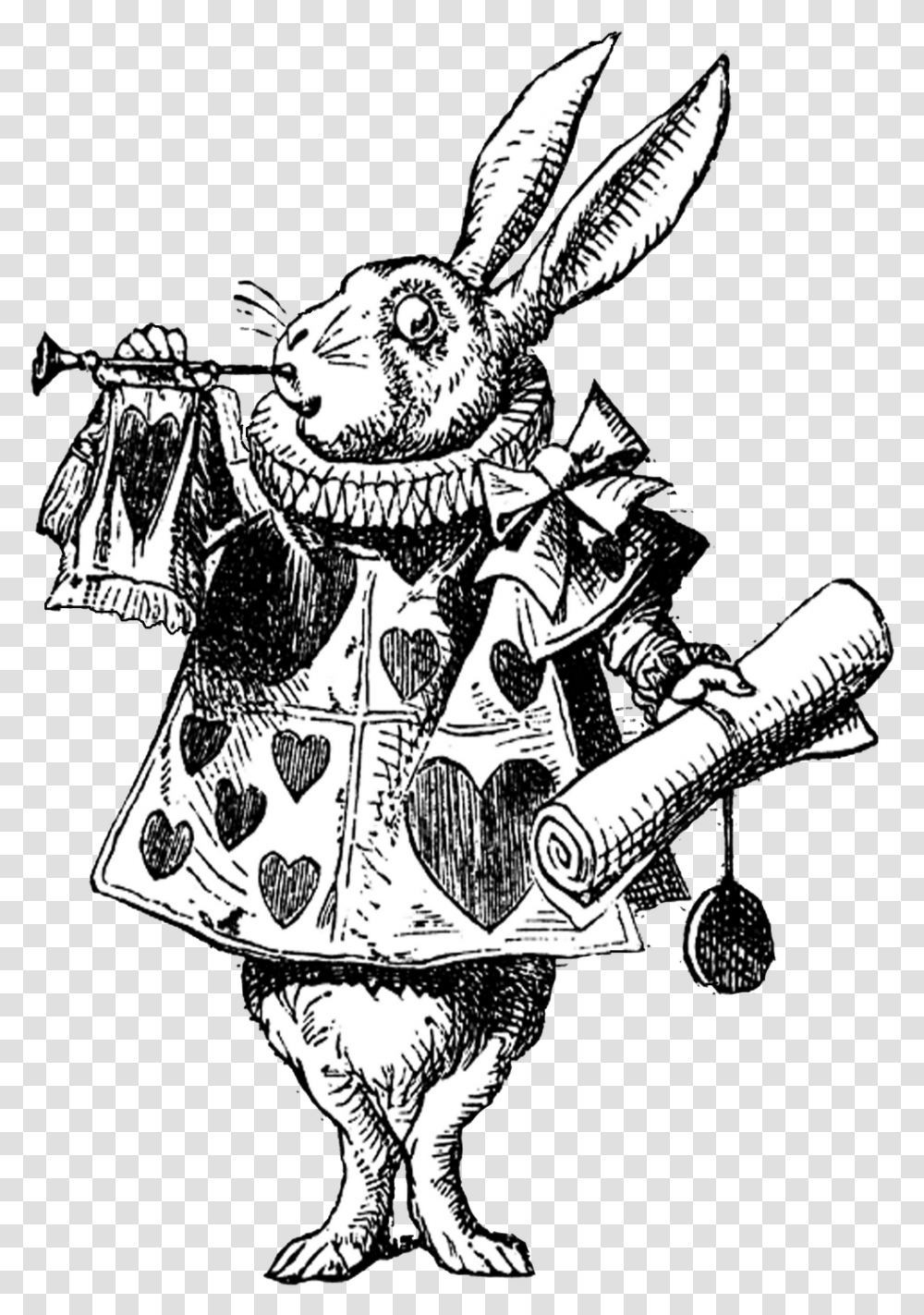 White Rabbit, Knight, Doodle, Drawing Transparent Png