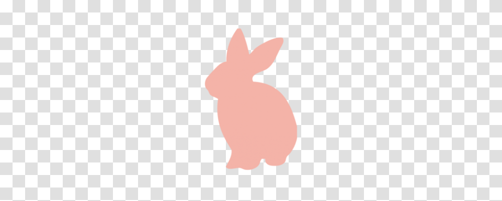 White Rabbit, Rodent, Mammal, Animal, Bunny Transparent Png