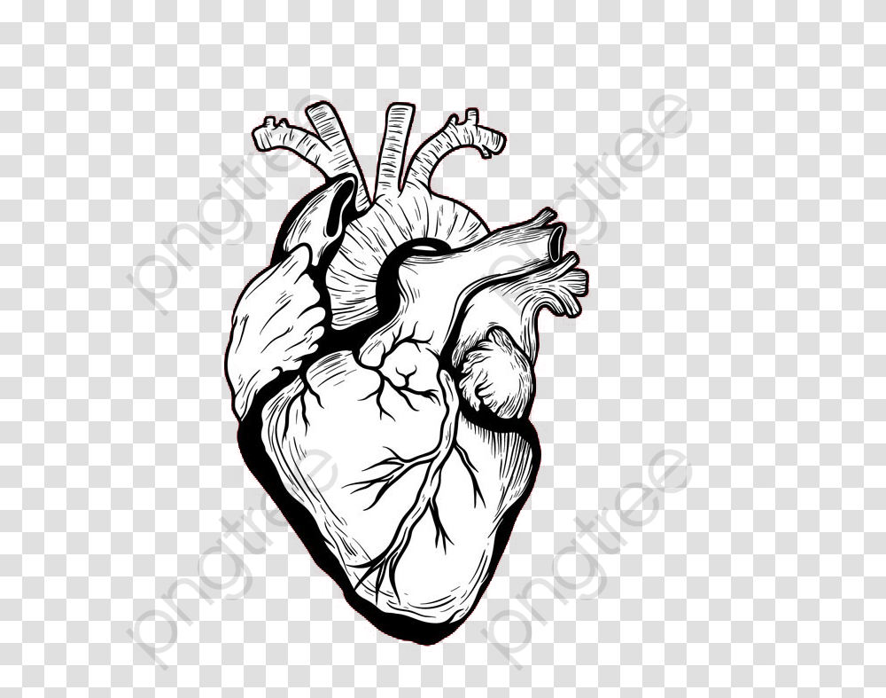 White Real Heart, Hand, Fist, Plant, Person Transparent Png