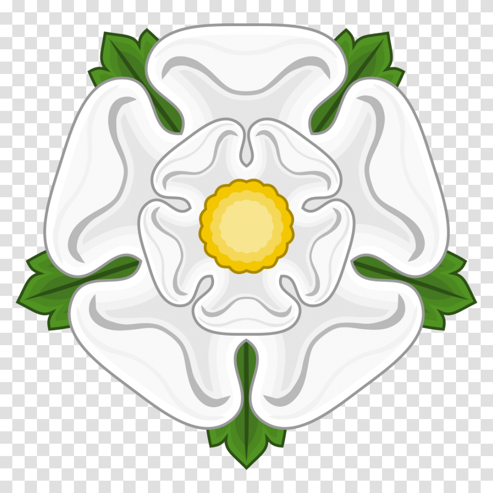 White Rose Badge Of York, Flower, Plant, Birthday Cake, Dessert Transparent Png