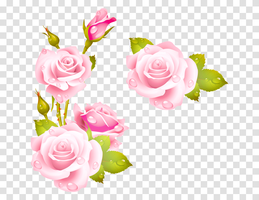 White Rose Border Clip Art, Flower, Plant, Blossom, Petal Transparent Png