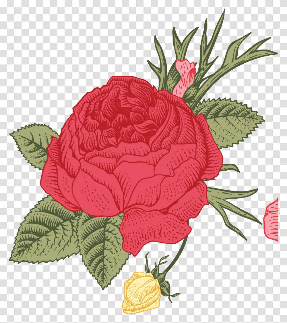 White Rose Border, Plant, Food, Flower, Blossom Transparent Png