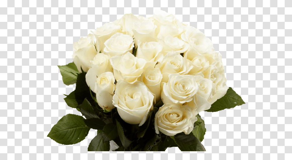 White Rose Bouquet Skachat Foto Belih Roz, Plant, Flower, Blossom, Flower Bouquet Transparent Png