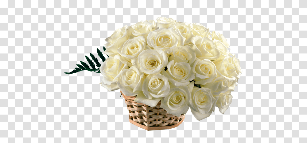 White Rose Bouquet White Rose Bouquet, Plant, Flower Bouquet, Flower Arrangement, Blossom Transparent Png