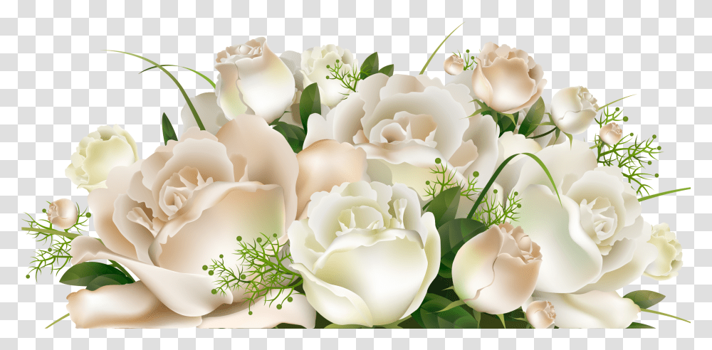 White Rose Bunch Wedding Themes Vector, Plant, Flower, Blossom, Peony Transparent Png