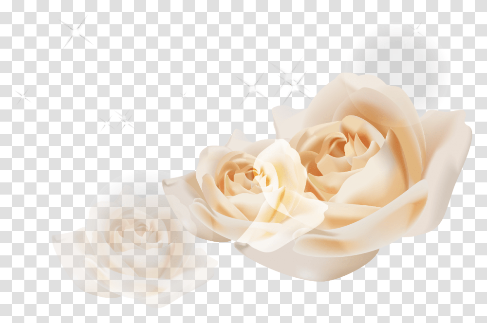White Rose Bush Garden Roses, Flower, Plant, Blossom, Petal Transparent Png
