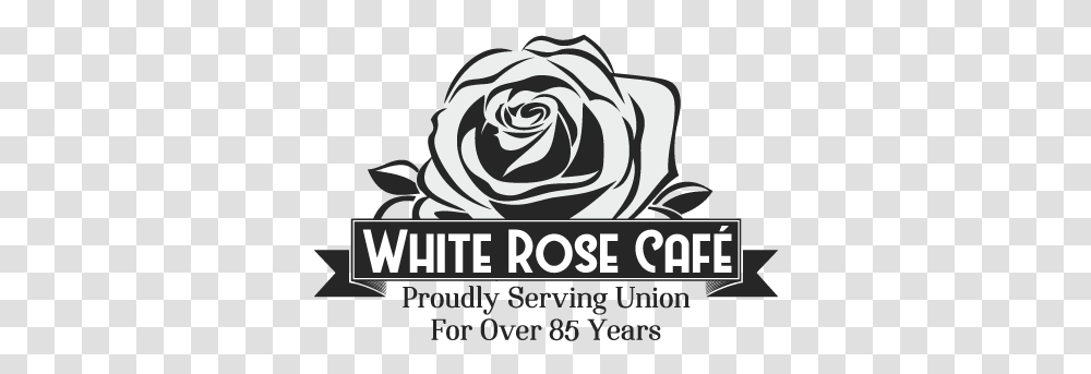 White Rose Cafe Blue Rose, Plant, Flower, Blossom, Graphics Transparent Png