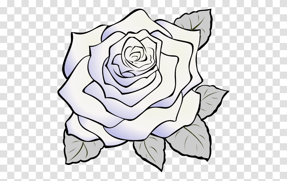 White Rose Clip Art, Flower, Plant, Blossom, Painting Transparent Png