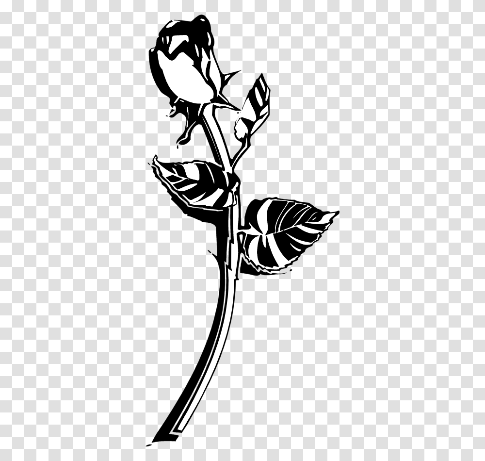 White Rose Clip Art, Stencil, Plant, Flower, Blossom Transparent Png