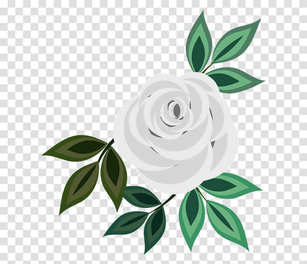 White Rose Clipart Flower Icon Drawing, Plant, Graphics, Floral Design, Pattern Transparent Png