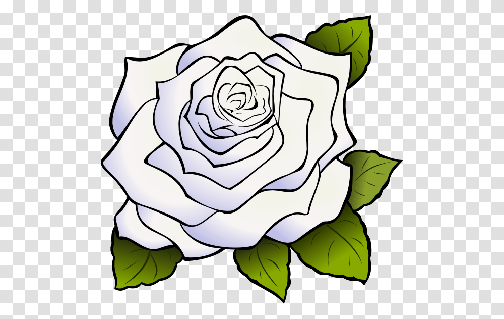 White Rose Clipart, Flower, Plant, Blossom, Petal Transparent Png