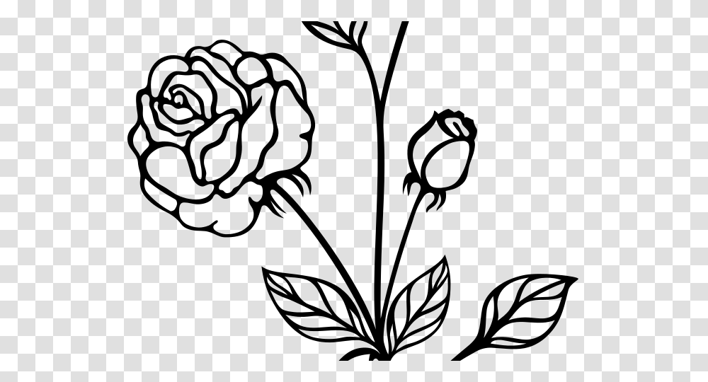 White Rose Clipart, Gray, World Of Warcraft Transparent Png