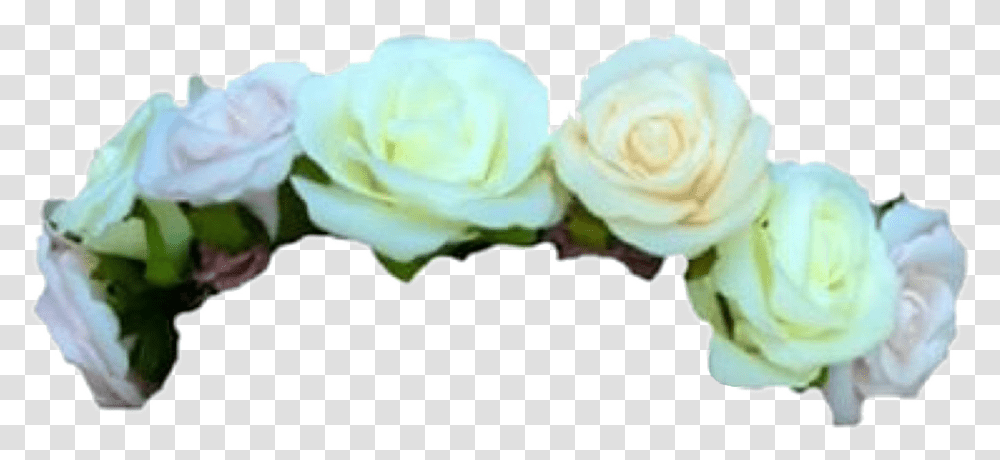 White Rose Flower Crown Green Flower Crown, Plant, Blossom Transparent Png