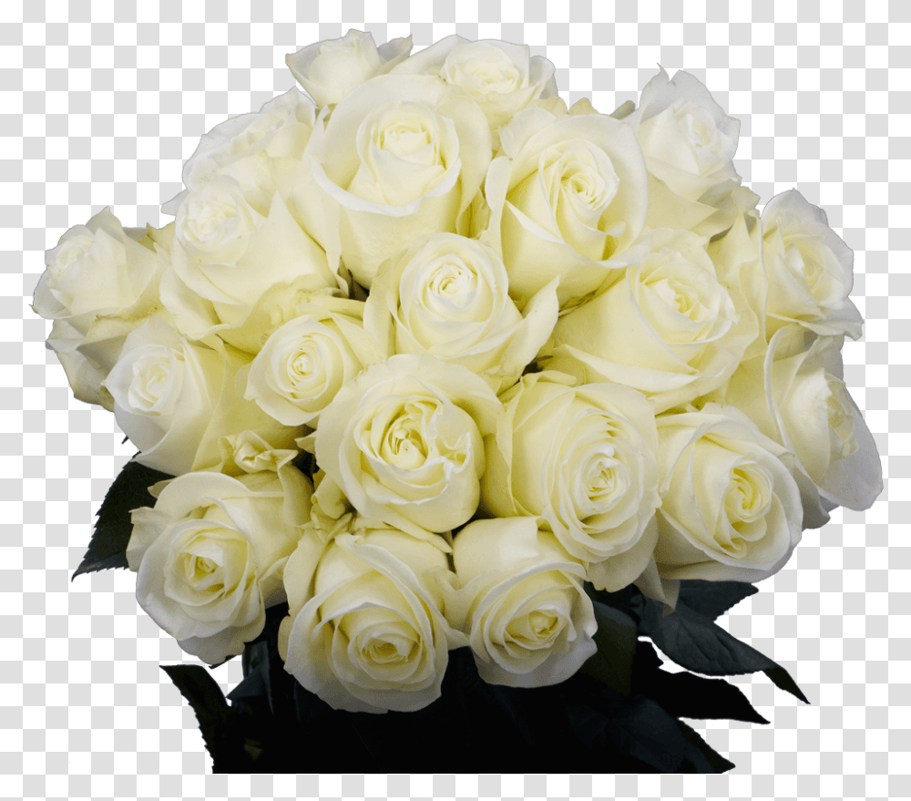 White Rose Flowers Cut Flowers, Plant, Blossom, Flower Bouquet, Flower Arrangement Transparent Png