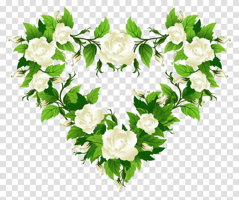 White Rose Flowers, Plant, Floral Design Transparent Png