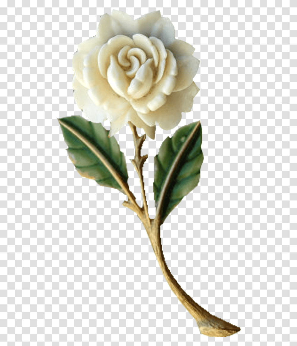 White Rose Granny Enchanted Blog Quot Chrome Swirl English Natpu New Friendship Kavithai In Tamil, Plant, Leaf, Flower, Blossom Transparent Png
