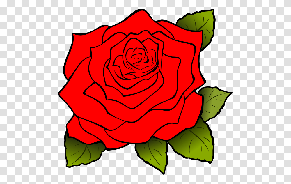 White Rose Svg Clip Arts Red Rose Icon, Flower, Plant, Blossom, Petal Transparent Png