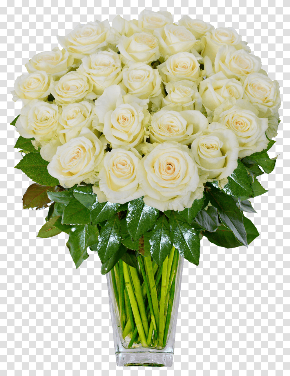 White Roses Background Image Green Roses In Vase, Plant, Floral Design Transparent Png