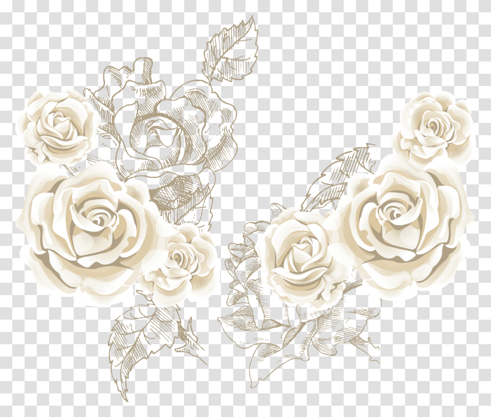 White Roses Background Vector White Rose Vector, Graphics, Art, Floral Design, Pattern Transparent Png