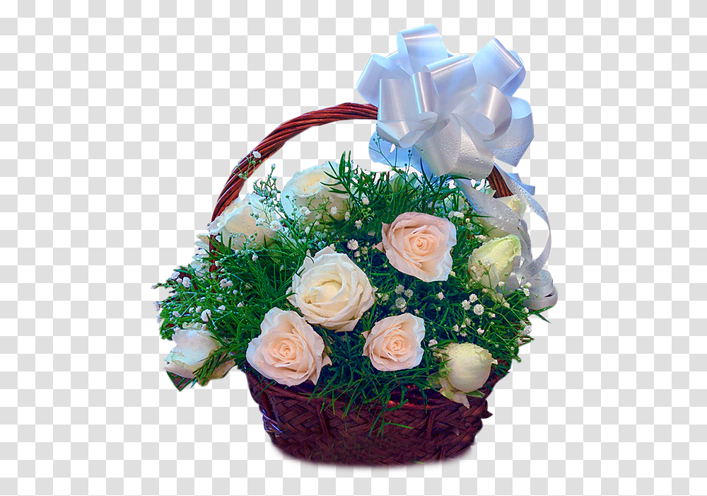 White Roses Basket Garden Roses, Plant, Flower, Blossom, Flower Bouquet Transparent Png