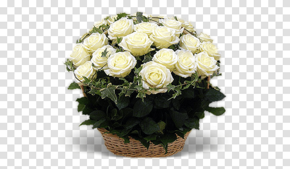 White Roses Basket Otkritki S Dnem Rozhdeniya Belie Rozi, Plant, Flower, Blossom, Flower Arrangement Transparent Png