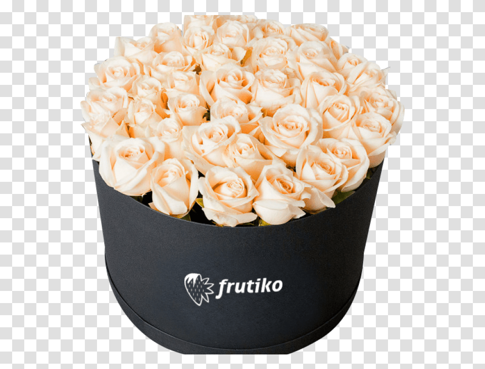 White Roses Black In Box, Plant, Flower, Blossom, Flower Bouquet Transparent Png