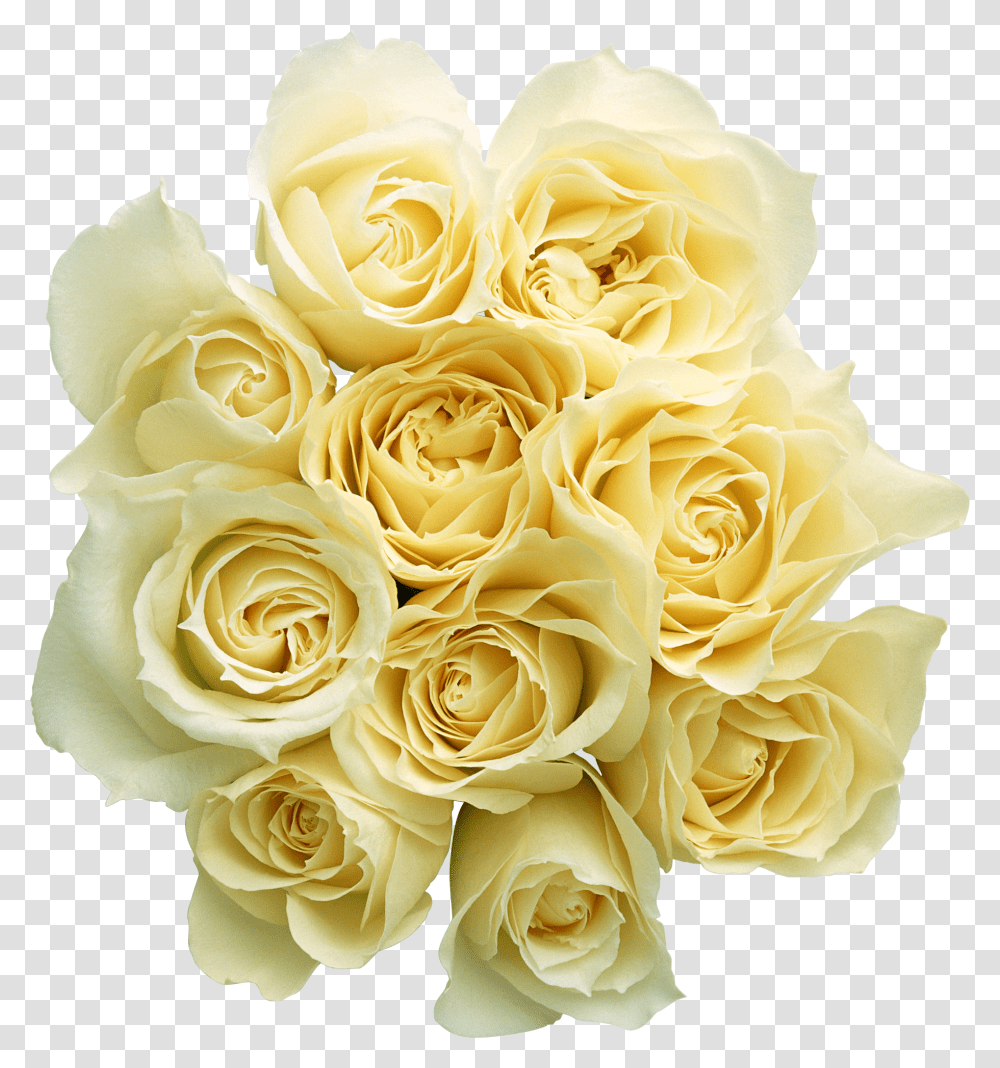 White Roses, Flower, Plant, Blossom, Flower Bouquet Transparent Png