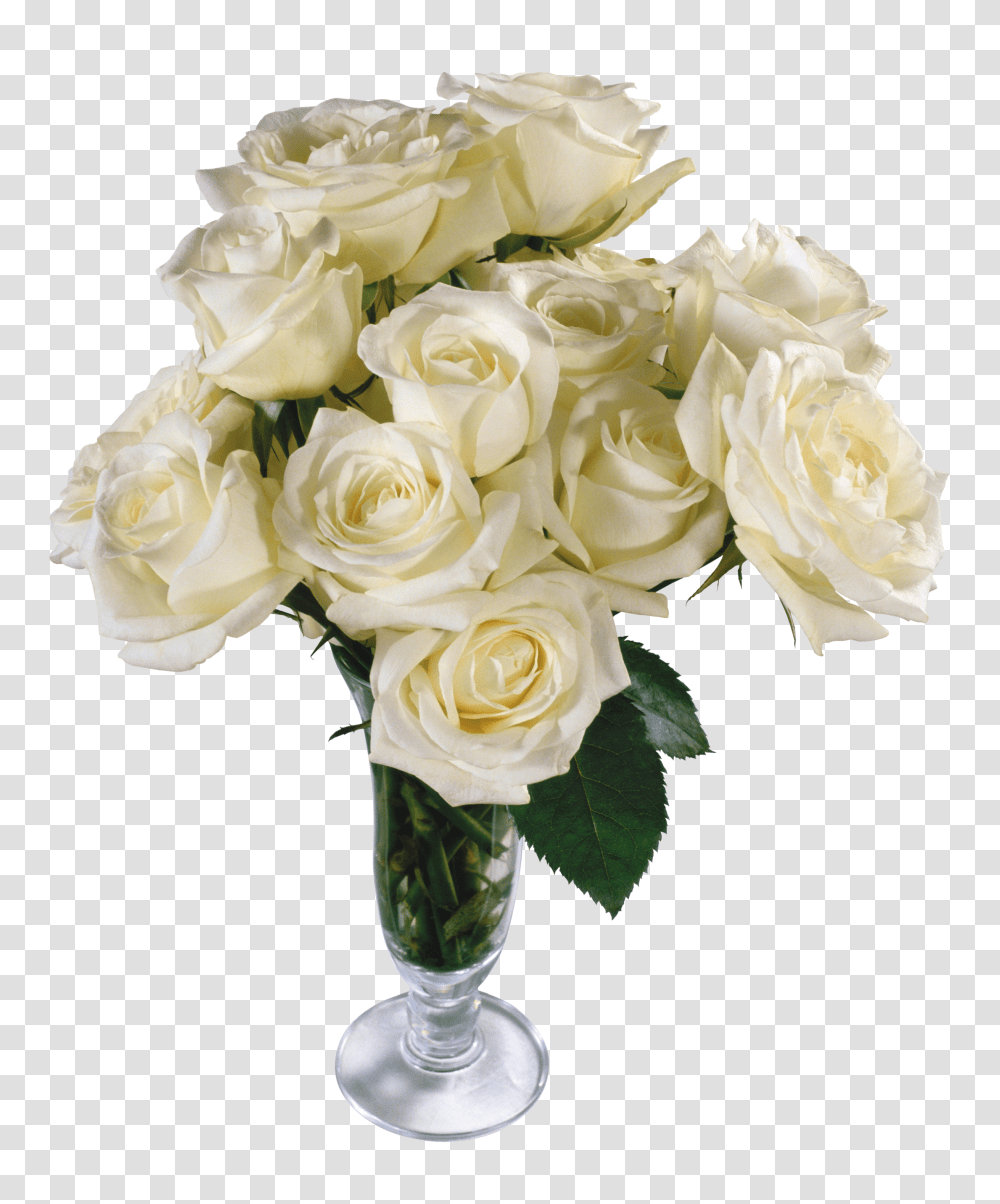 White Roses, Flower Transparent Png