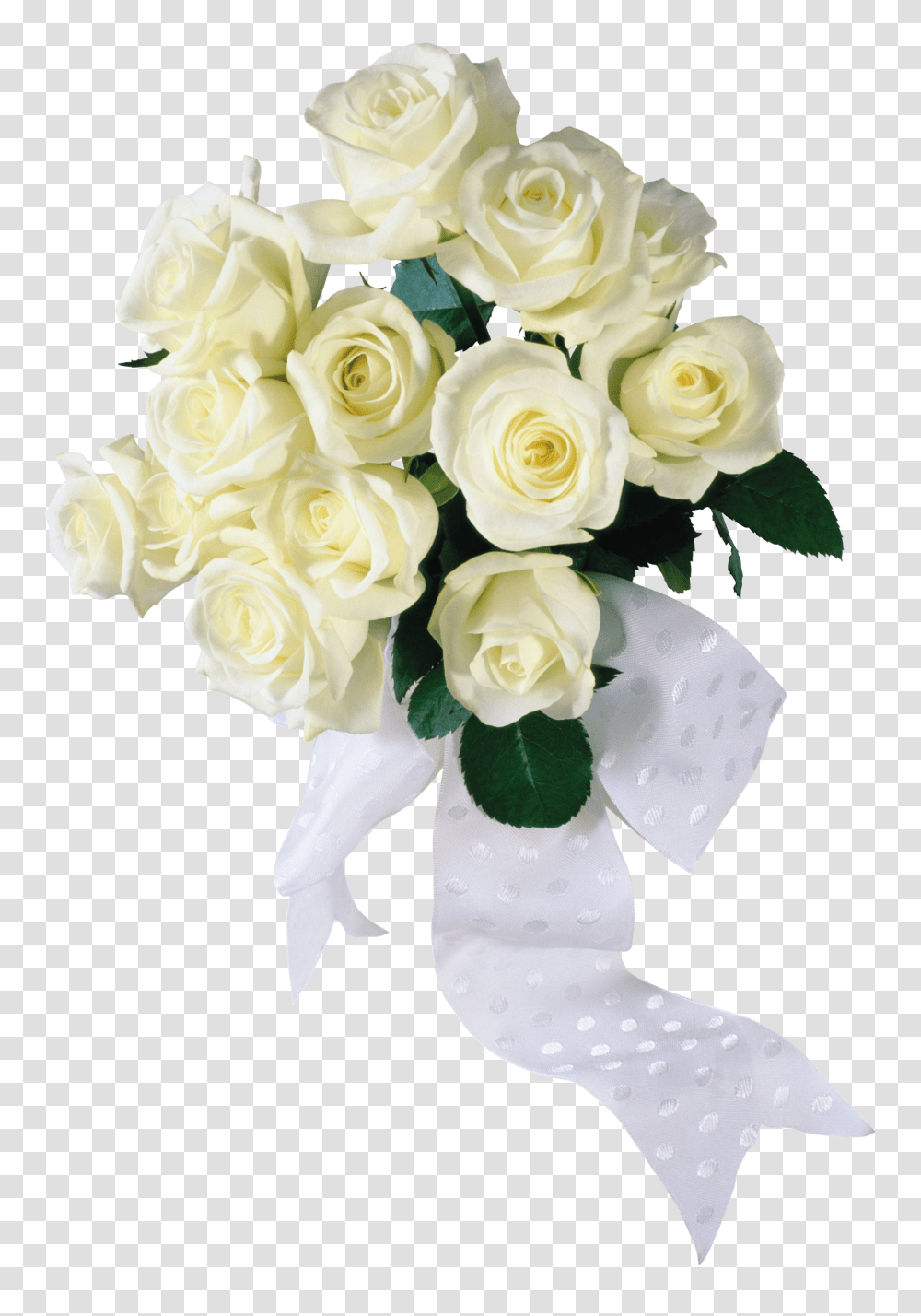 White Roses, Flower Transparent Png