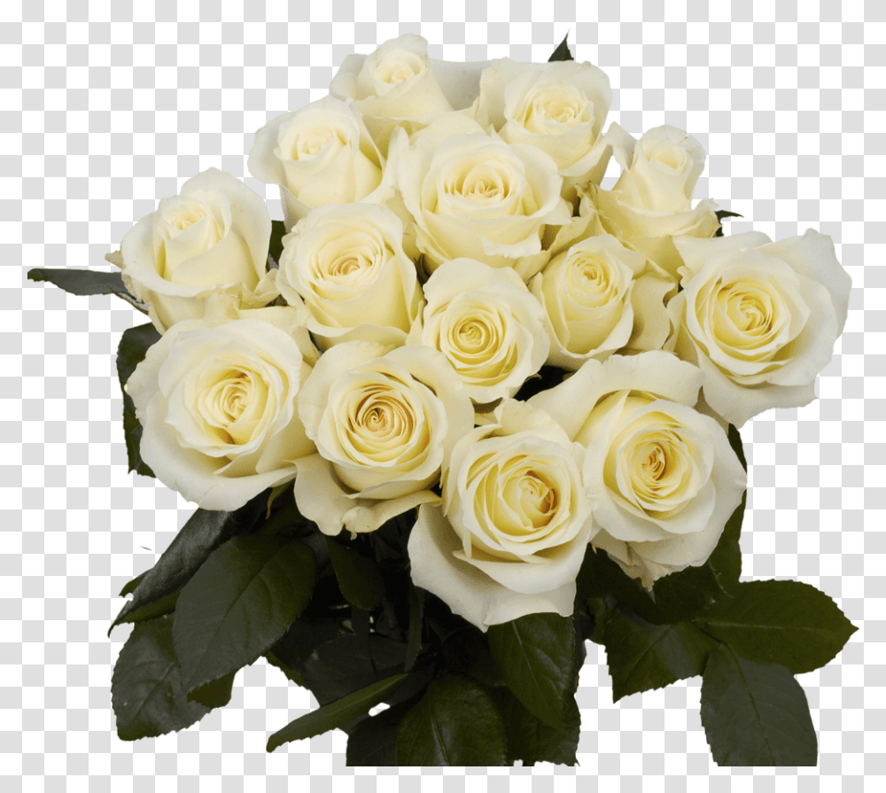White Roses For Sale Freshest Anastacia Roses Floribunda, Plant, Flower, Blossom, Flower Bouquet Transparent Png