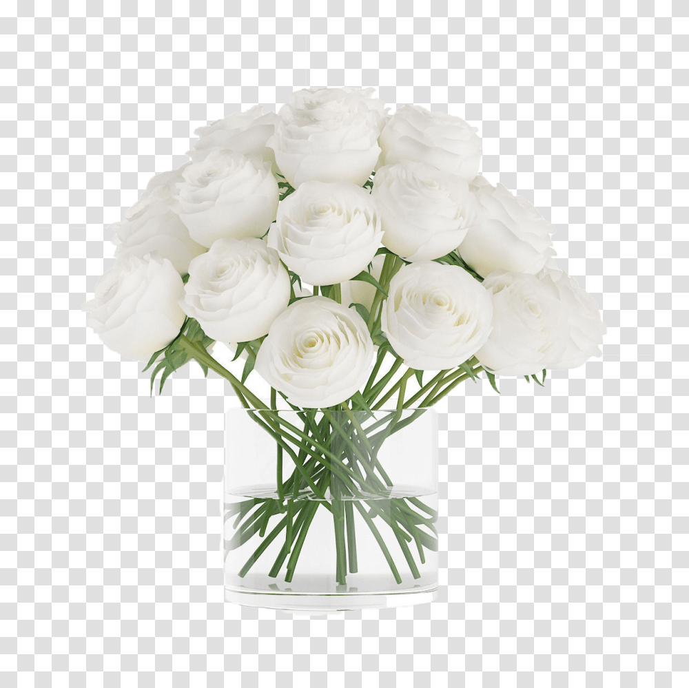 White Roses Free Download White Flower Vase, Plant, Blossom, Flower Bouquet, Flower Arrangement Transparent Png