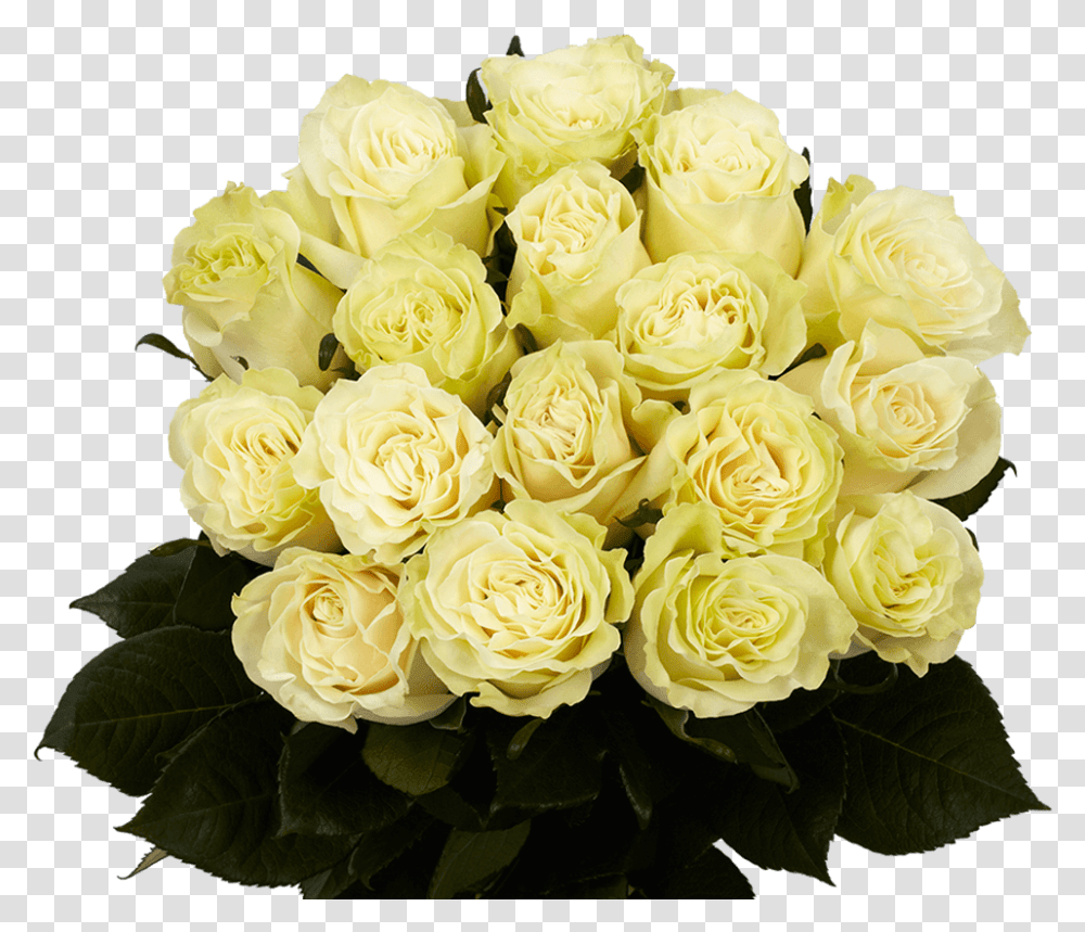 White Roses Fresh Mondial Roses Flowers Direct Floribunda, Plant, Blossom, Flower Bouquet, Flower Arrangement Transparent Png