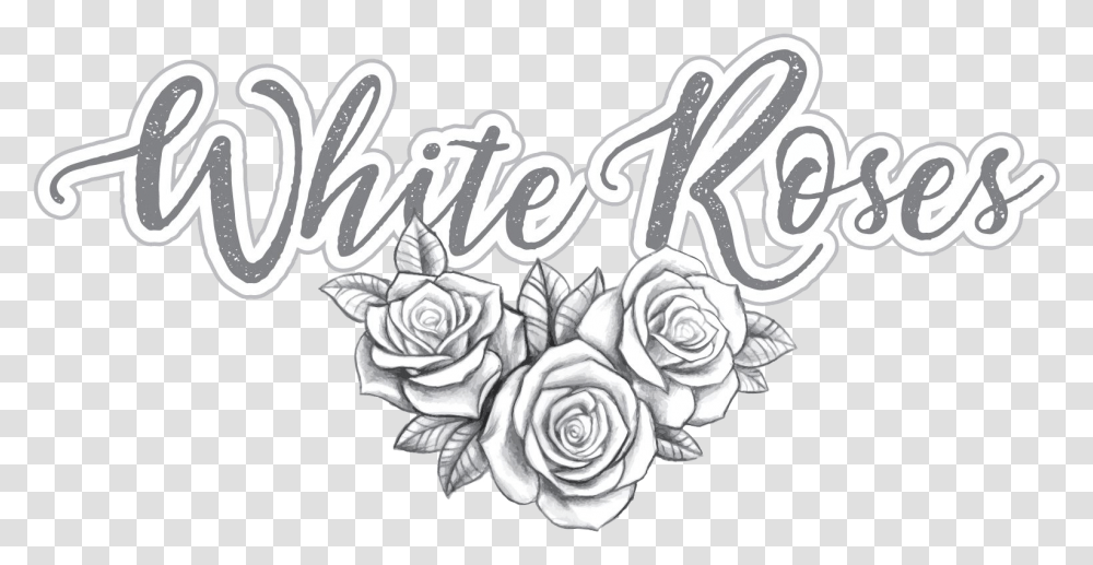 White Roses, Floral Design, Pattern Transparent Png