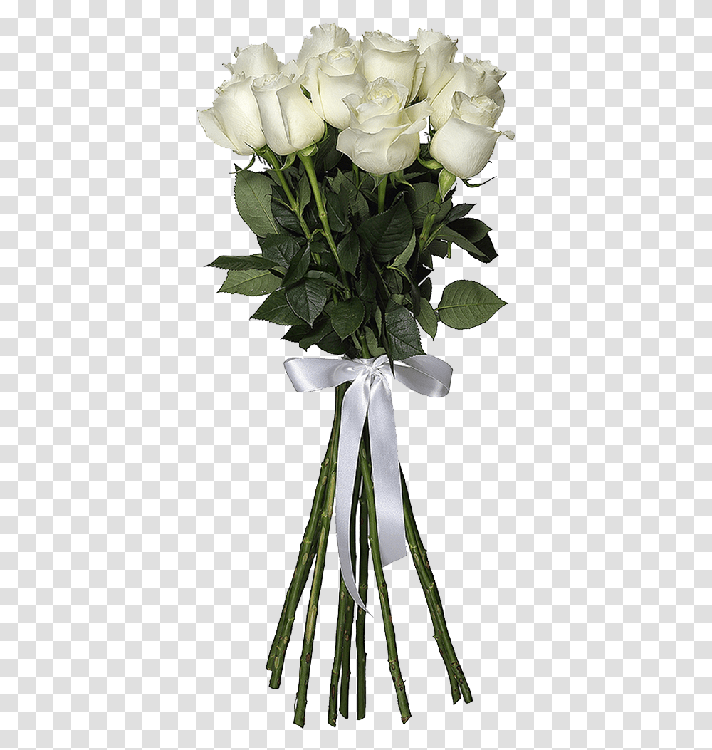 White Roses Hd Images, Leaf, Plant, Flower, Blossom Transparent Png