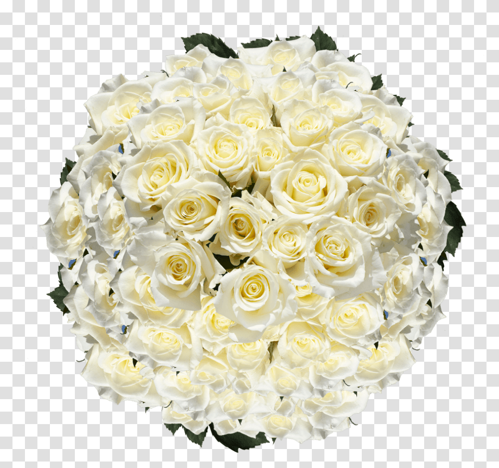 White Roses Mother's Day Flower Specials Free Shipping Floribunda, Plant, Blossom, Flower Bouquet, Flower Arrangement Transparent Png
