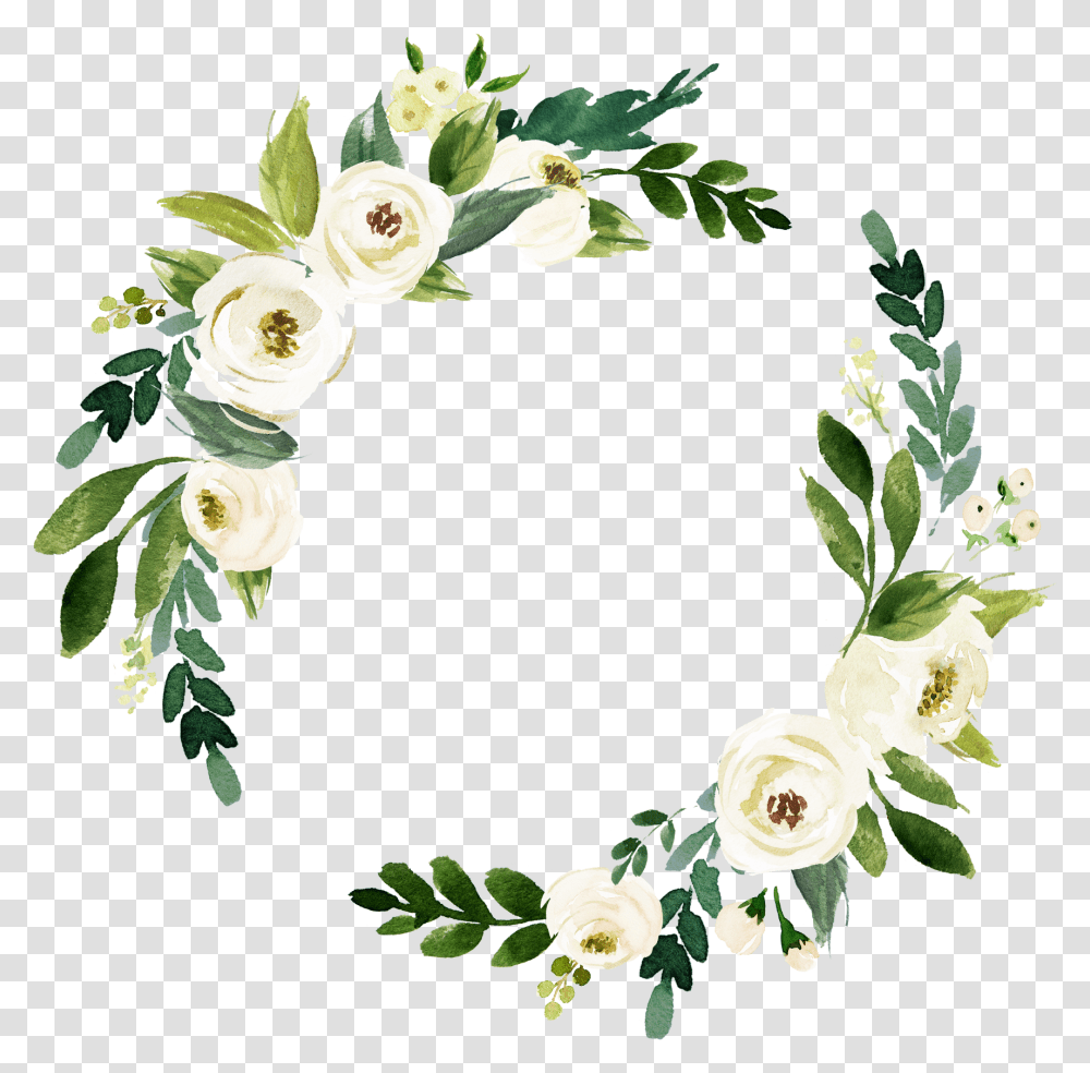White Roses Watercolor White Flower, Wreath, Plant, Blossom Transparent Png