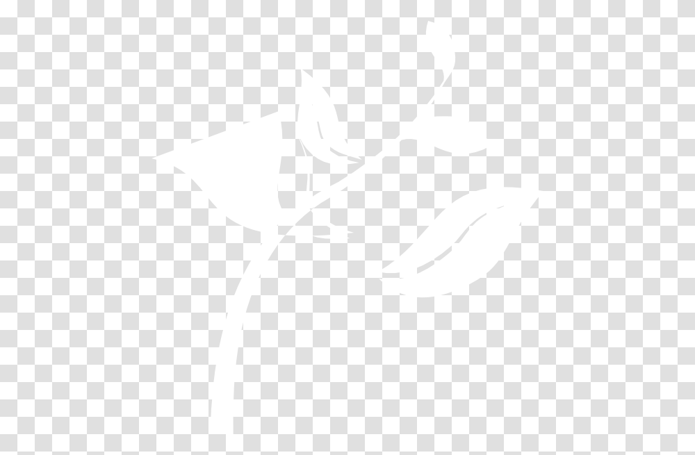 White Seedling, Texture, White Board, Apparel Transparent Png