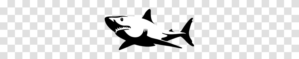 White Shark Clip Art, Sea Life, Fish, Animal, Silhouette Transparent Png