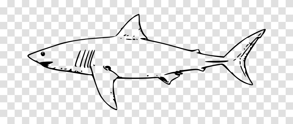 White Shark Clip Arts For Web, Gray, World Of Warcraft Transparent Png