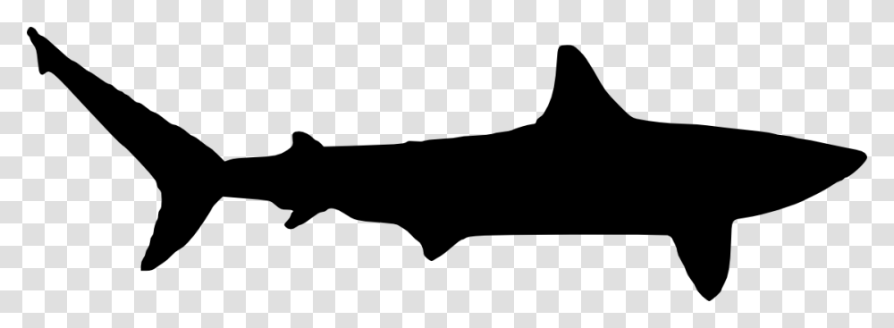 White Shark Silhouette At Getdrawings, Animal, Mammal, Stencil, Arm Transparent Png