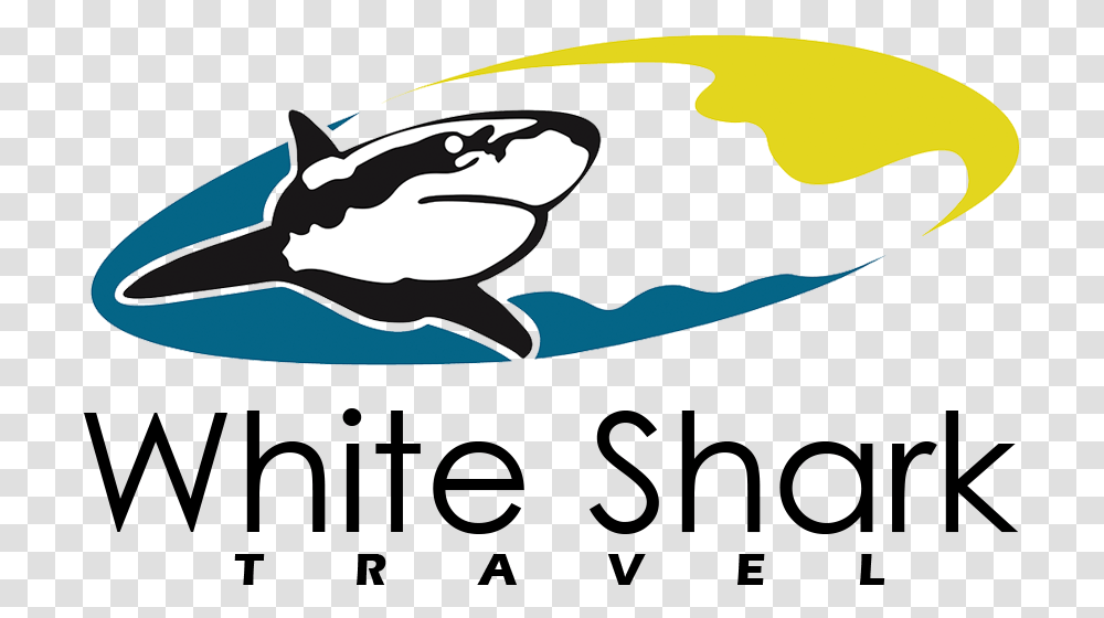 White Shark Travel White Shark, Orca, Mammal, Sea Life, Animal Transparent Png