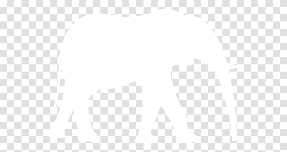 White Silhouette Of An Elephant, Texture, White Board, Apparel Transparent Png