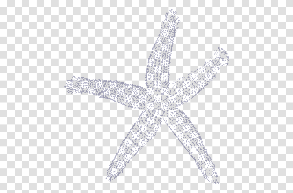 White Starfish Fish Clip Art, Sea Life, Animal, Invertebrate, Lizard Transparent Png