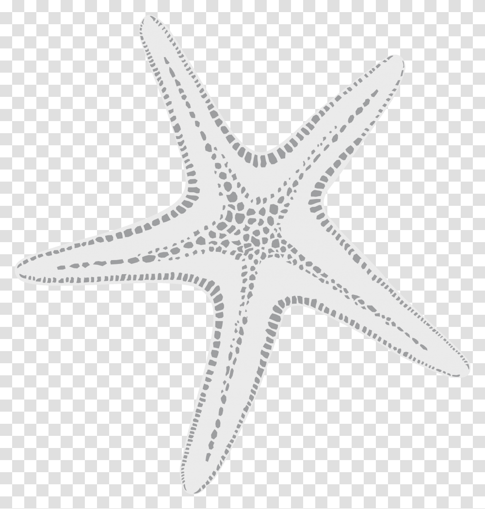White Starfish Menu, Invertebrate, Sea Life, Animal, Axe Transparent Png